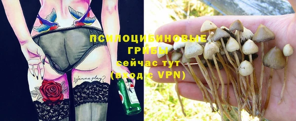 стафф Балабаново