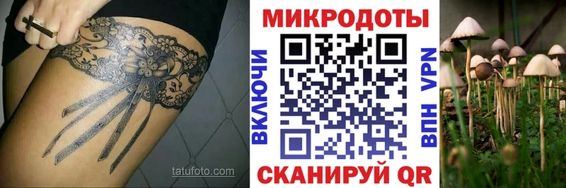 где купить наркотик  Шагонар  Псилоцибиновые грибы прущие грибы 